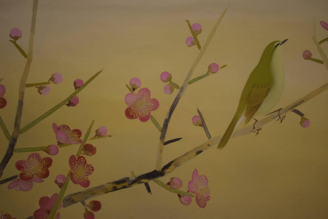 真作/五十棲子元/紅梅鴬図/桐共箱付/布袋屋掛軸HI-707