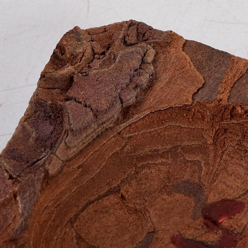 茶道具　松皮香合　表千家 十二代 宗左（惺斎）花押　共箱　V　8834