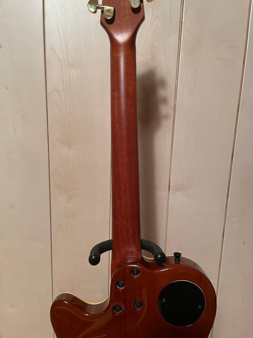 godin セミアコ　ゴダン　ギター　アコギ　dimarzio