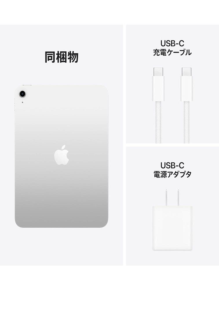 iPad本体 iPad (A16) Wi-Fi 256GB