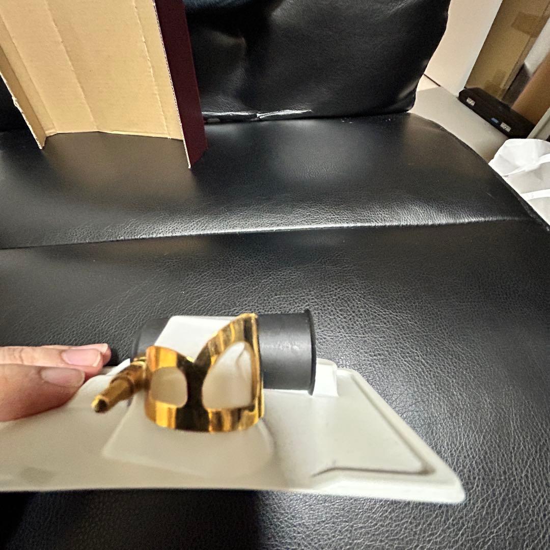 【金メッキ】BG L51 ソプラノ Tradition Gold Plate