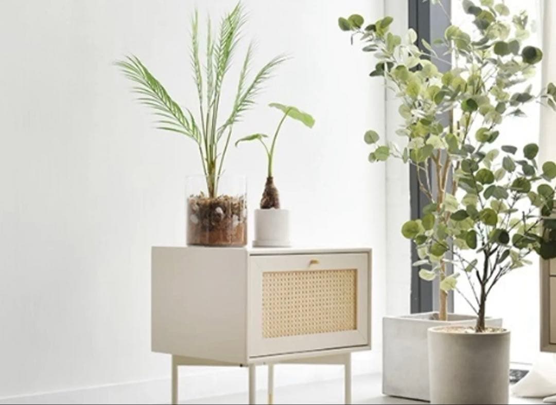 Casamia バンド・ウッドホワイトラタン サイドテーブル　即購入○