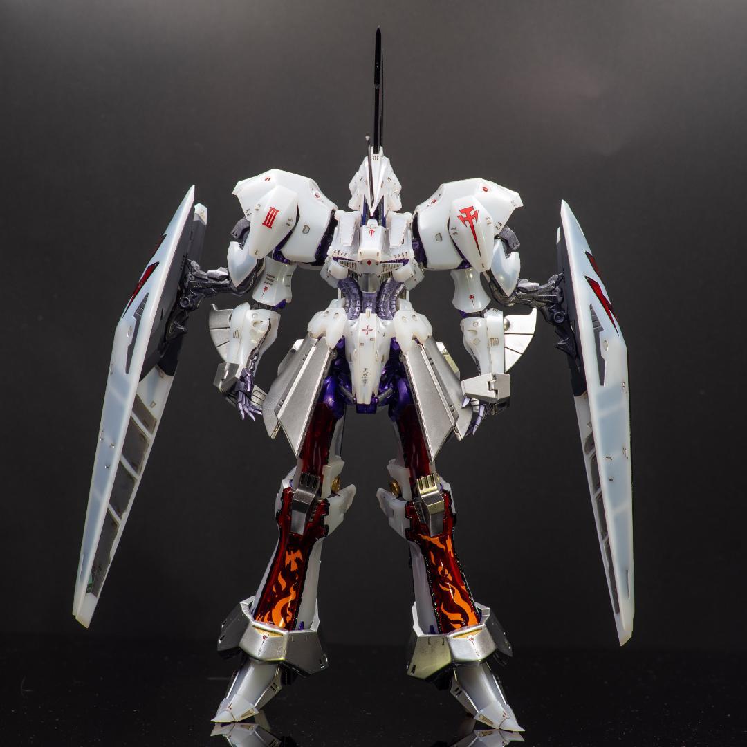 IMS 1/100 LEDミラージュV3 デルタベルン3007 完成品