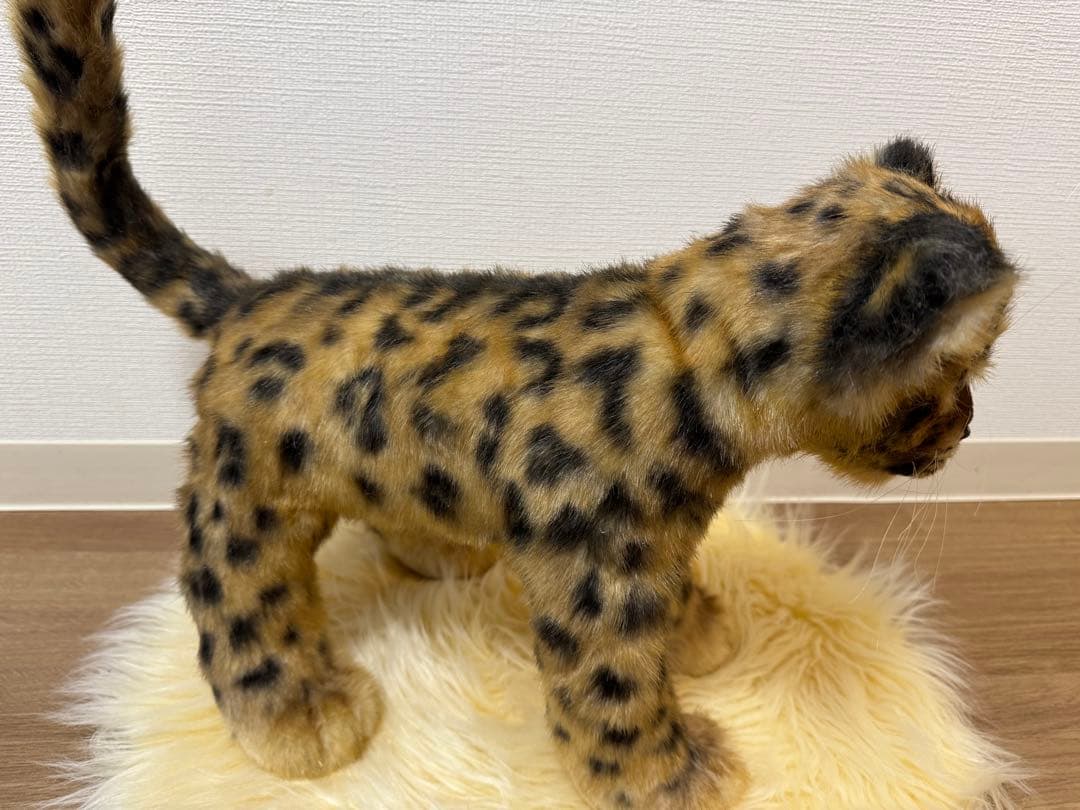 海外作家様作　アートドール　ヒョウの子供