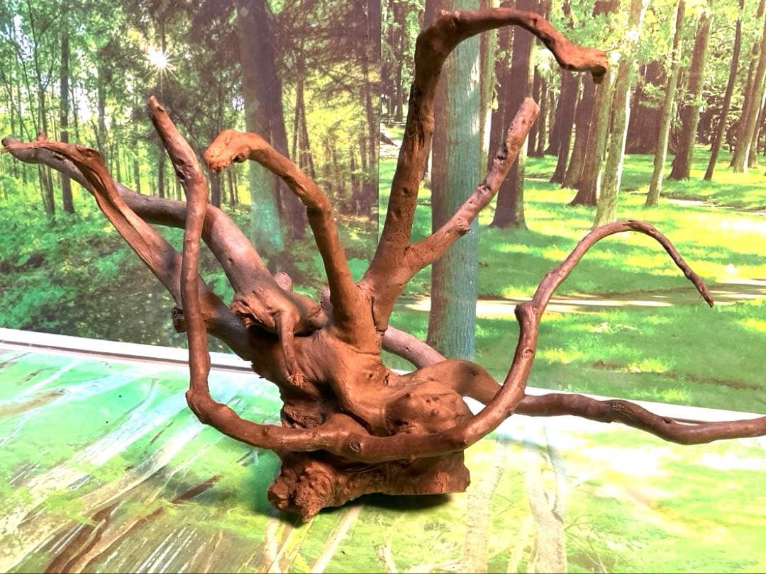 エムエー様 リクエスト 6点 まとめ商品