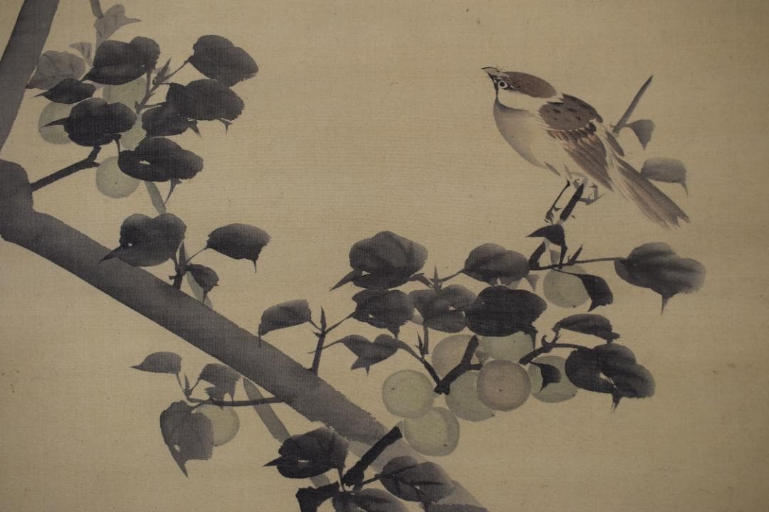 【真作】長谷川玉峰/青梅小禽図/青梅双雀図/掛軸☆宝船☆Y-736　JM