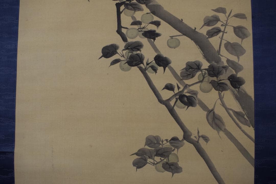 【真作】長谷川玉峰/青梅小禽図/青梅双雀図/掛軸☆宝船☆Y-736　JM