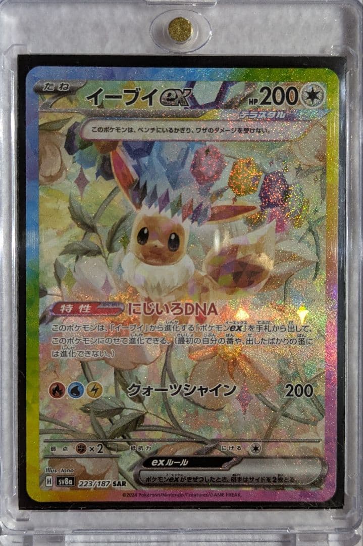 テラスタルフェス　ゴッドパック