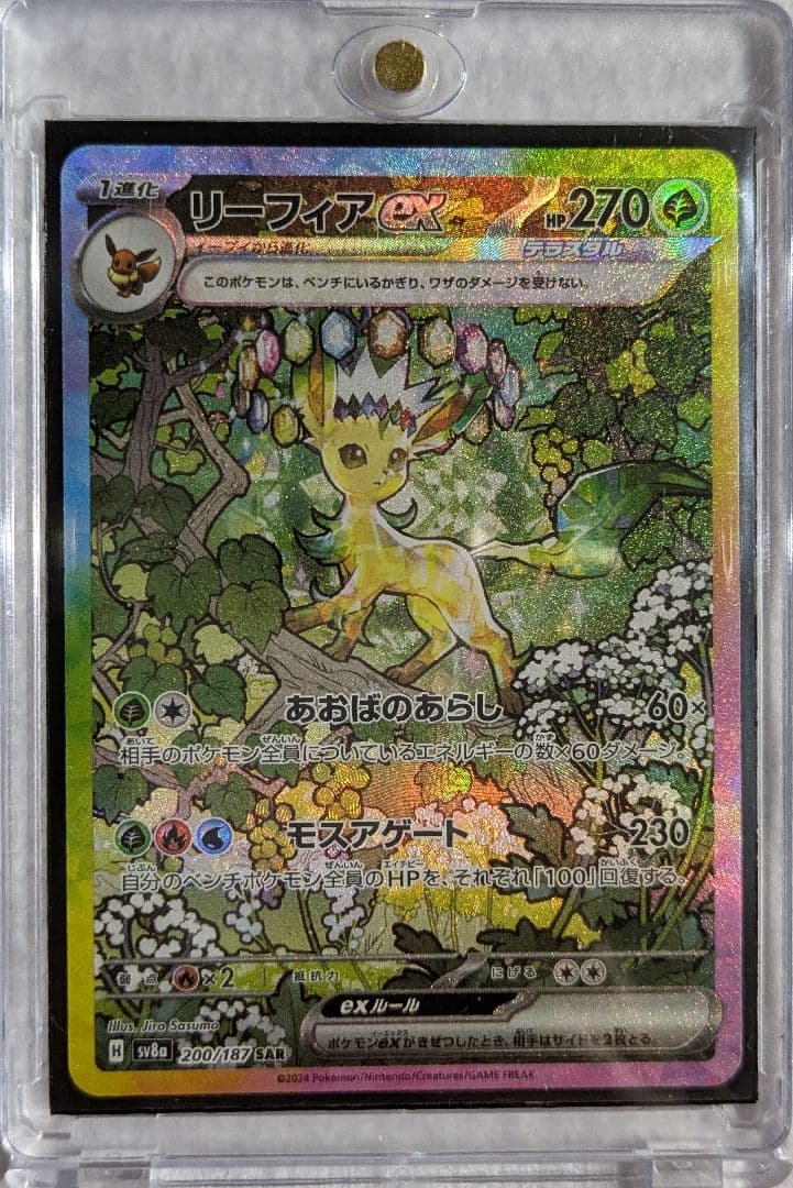 テラスタルフェス　ゴッドパック