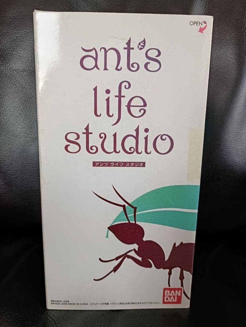 アンツ ライフ スタジオ ant's life studio