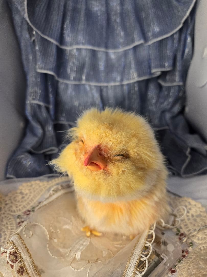 ハラペコ様 ヒヨコ アートドール