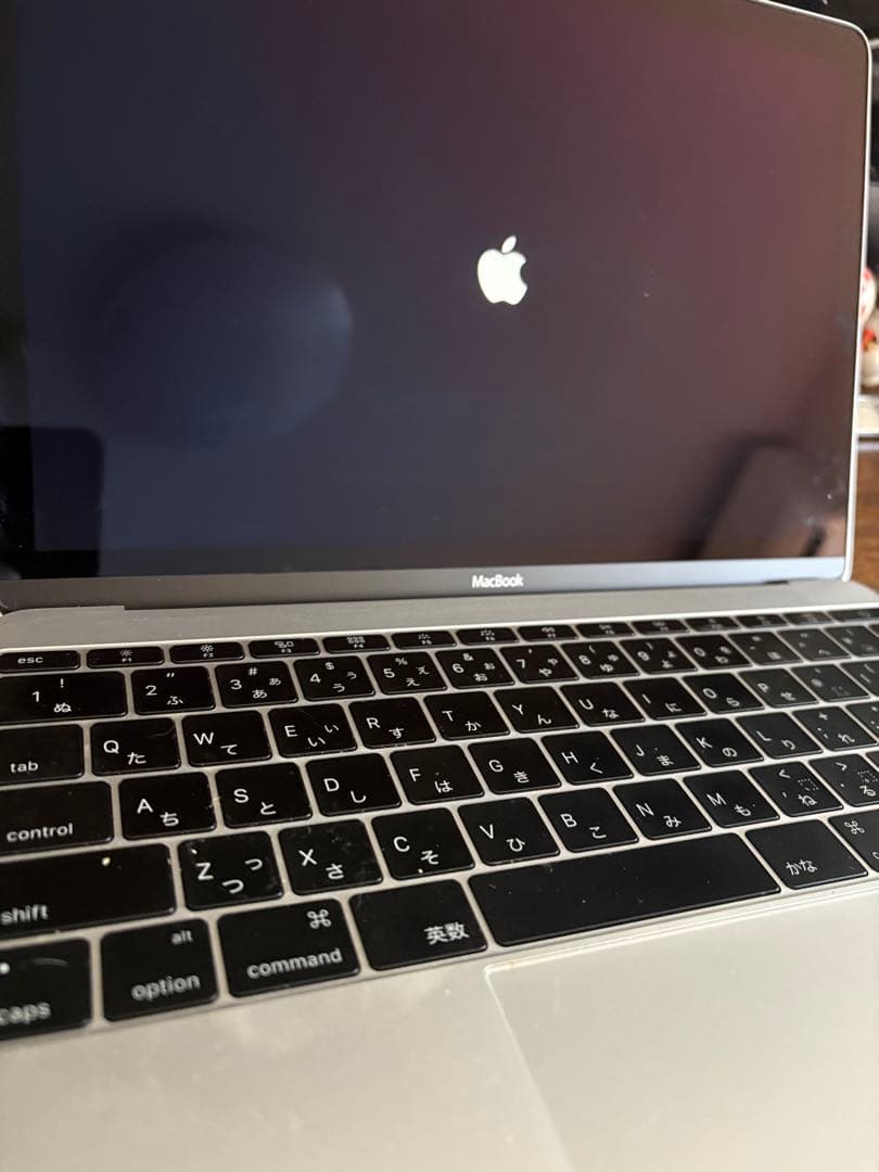 ジャンクMacBook Retina, 12-inch, Early 2016