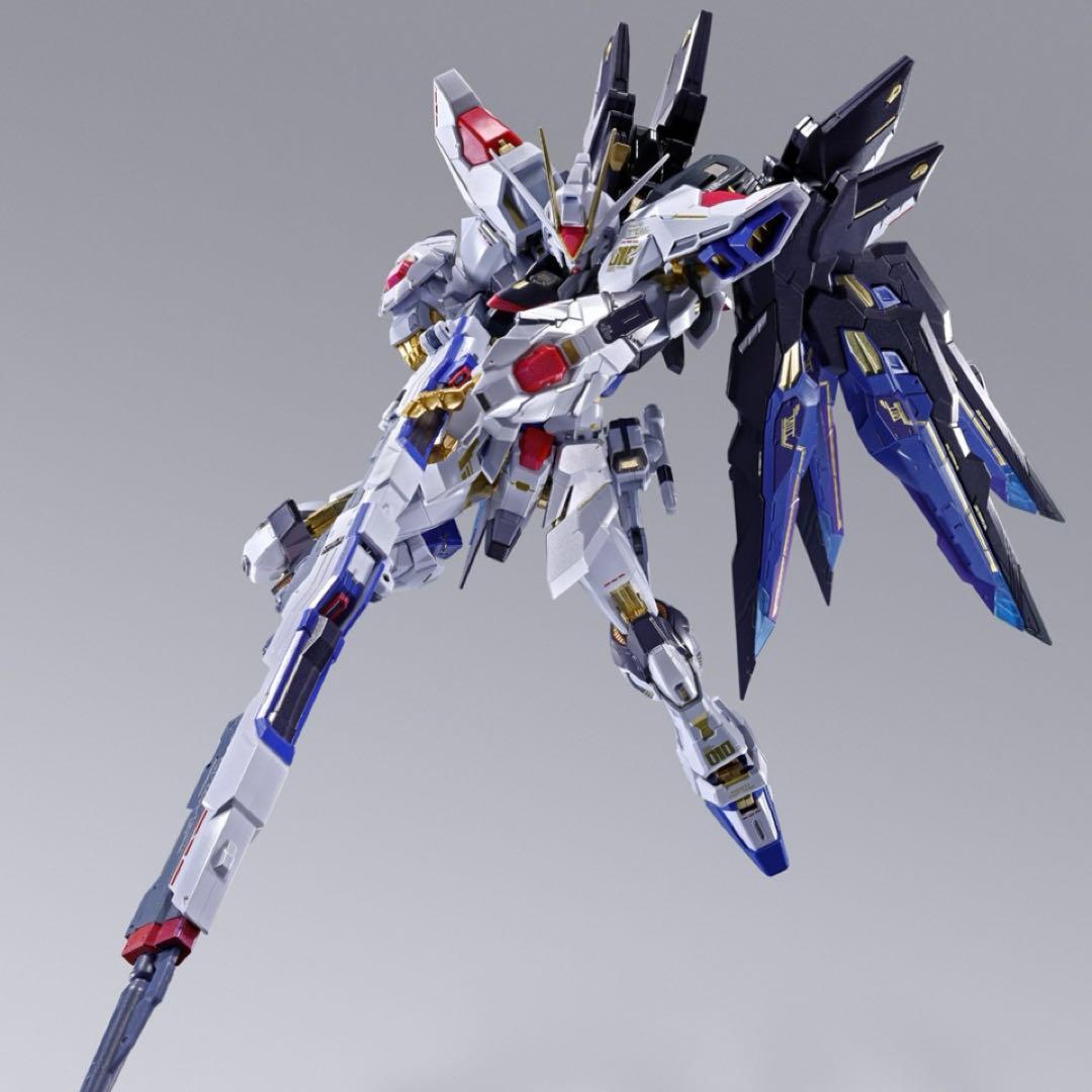 メタルビルドストライクフリーダム＆光の翼オプションセット