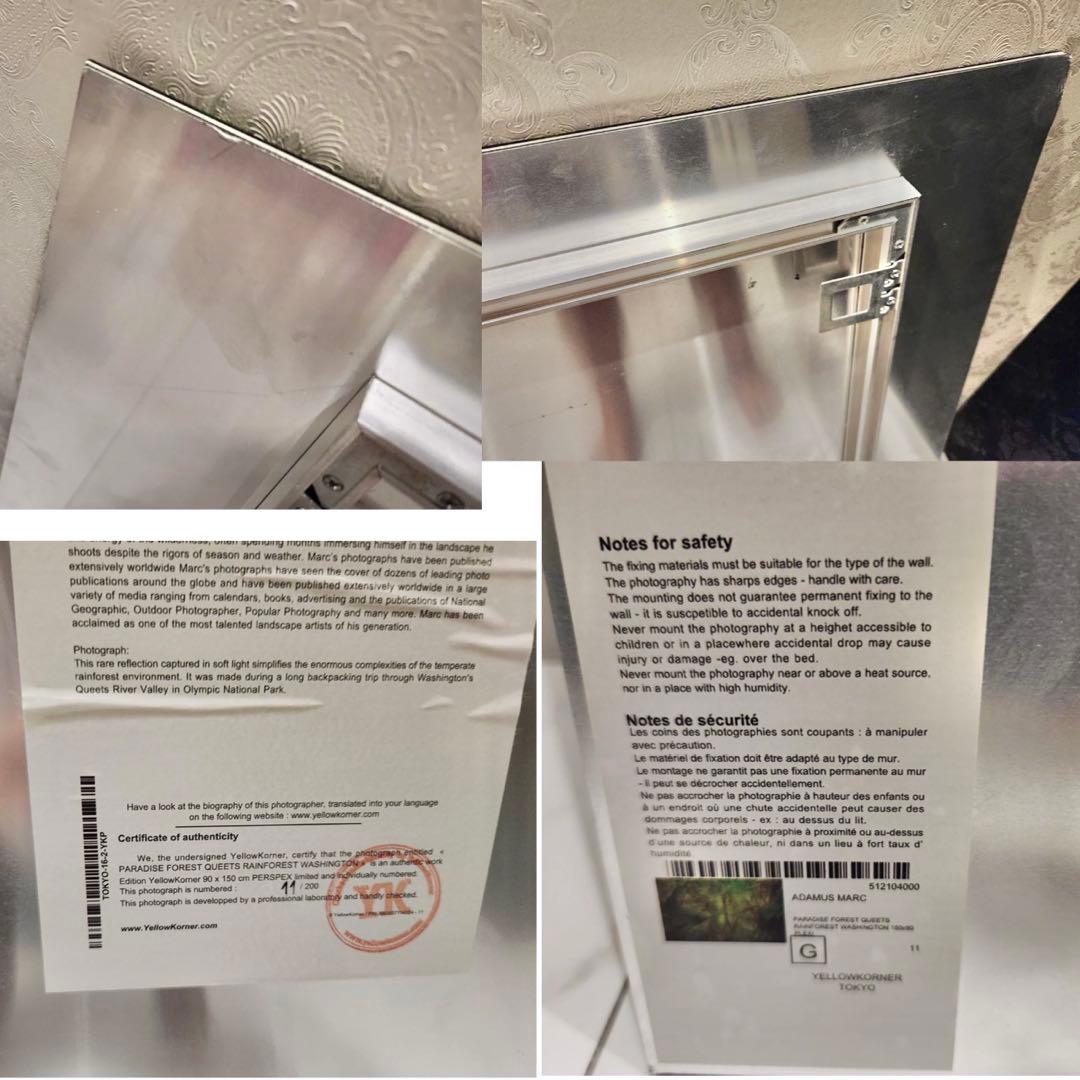 YellowKornerイエローコーナー パラダイス・フォレスト アートパネル