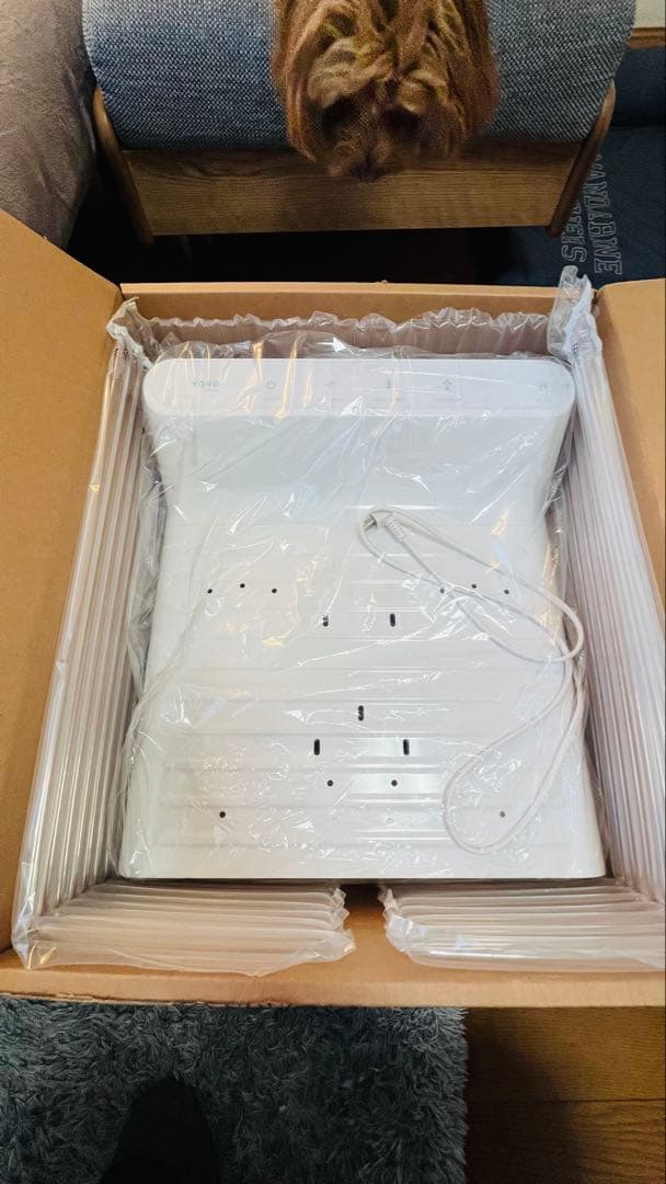 フット& ボディドライヤー 体重計付き 全身/足乾燥区分 温度&風量調節可能