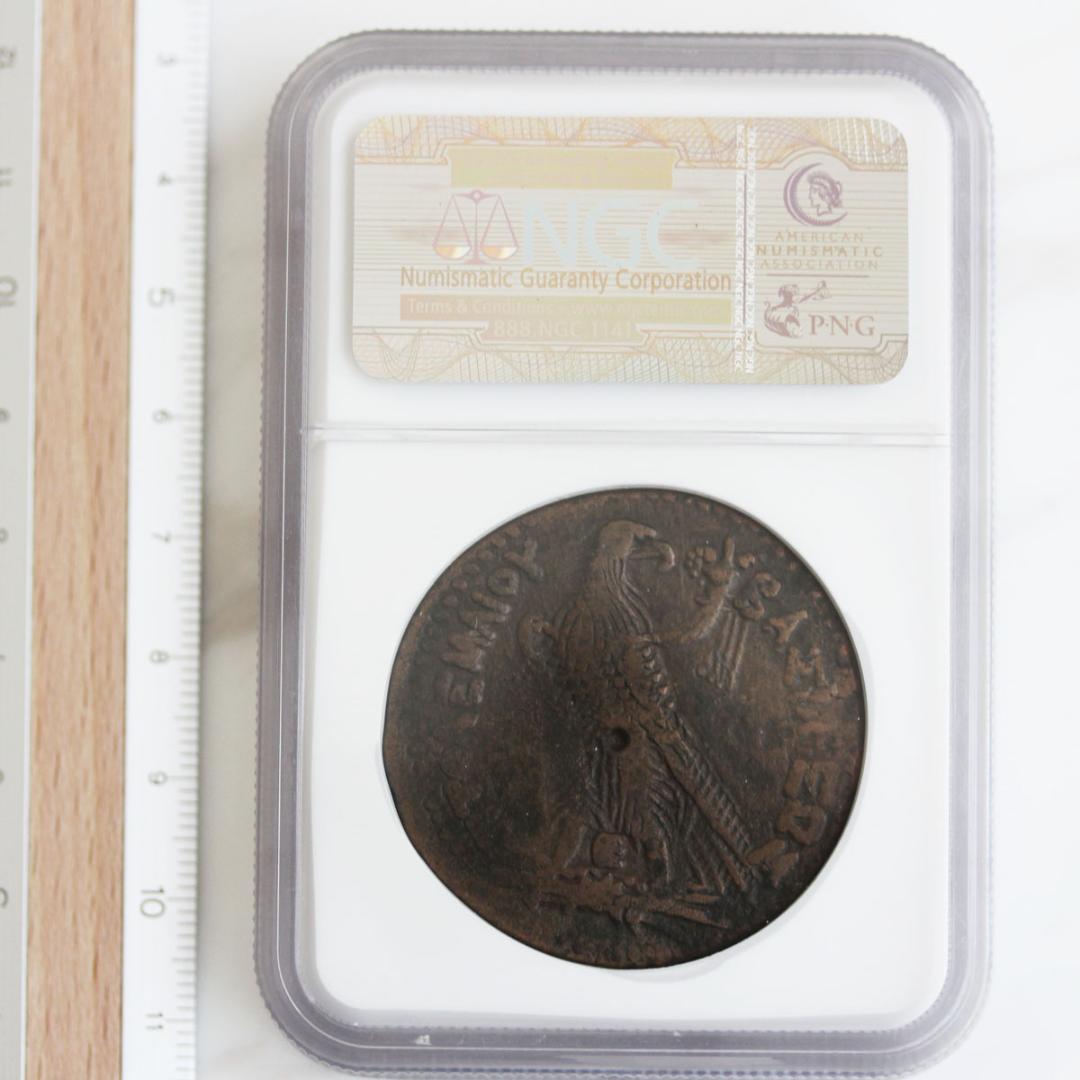 アメン・ゼウス神　プトレマイオス朝エジプト　プトレマイオス4世　 青銅貨