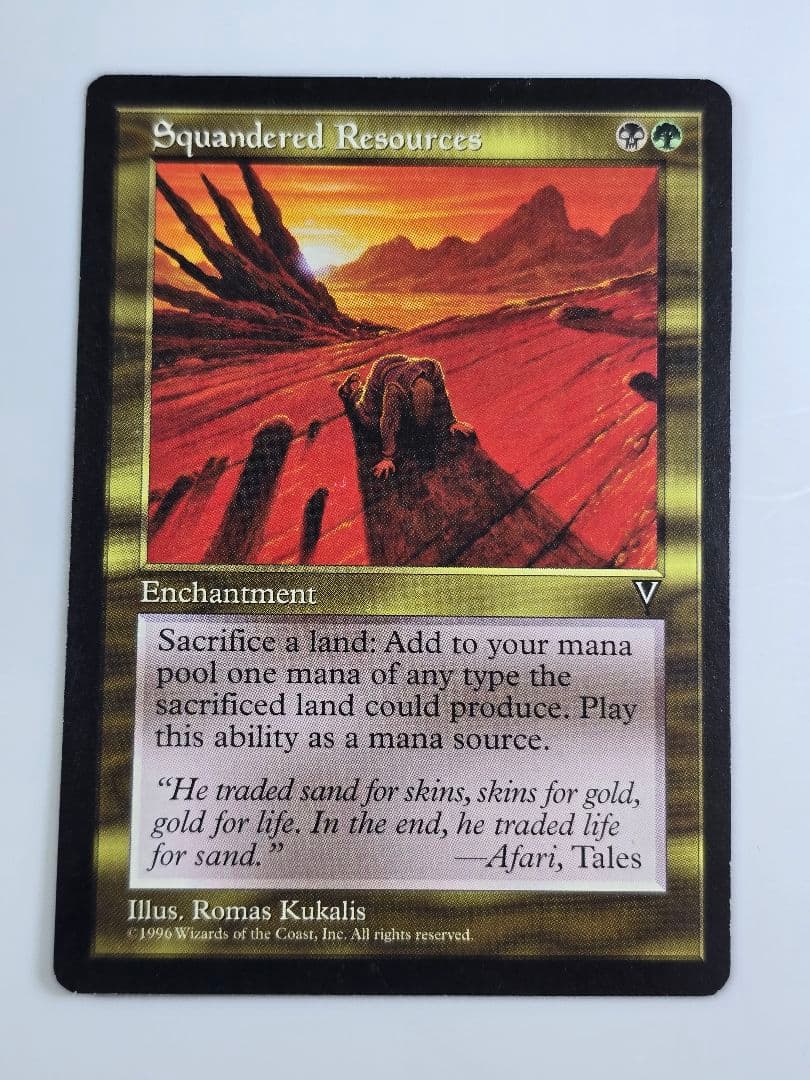 資源の浪費/Squandered Resources VIS　英語、１枚