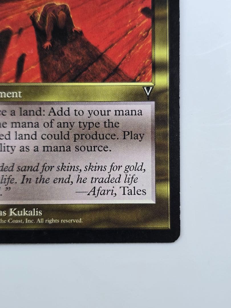 資源の浪費/Squandered Resources VIS　英語、１枚