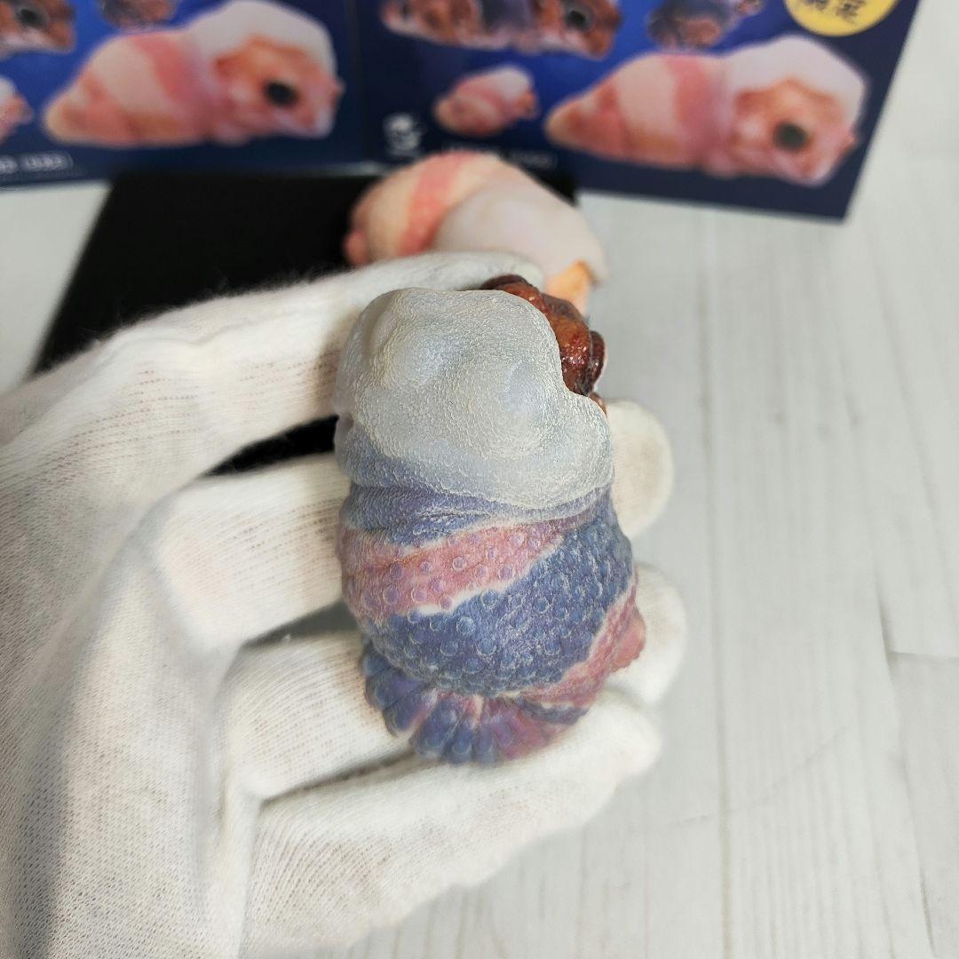 【動物の惑星】88体限定★ニシアフリカトカゲモドキ（脱皮版）2体!! フィギュア