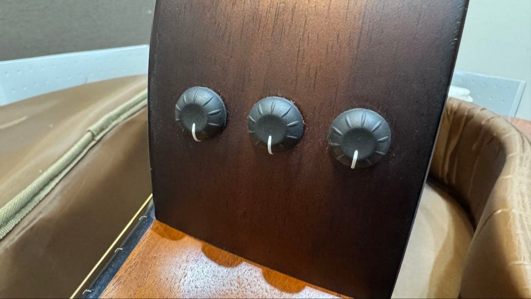 アコースティックギター GS MINI-e koa plus