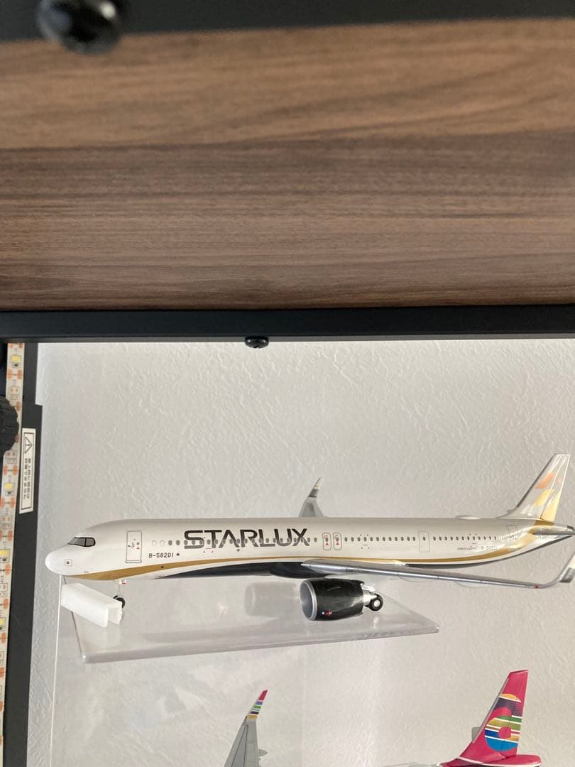 c*n様 レア品‼️STARLUX A321 航空機モデル