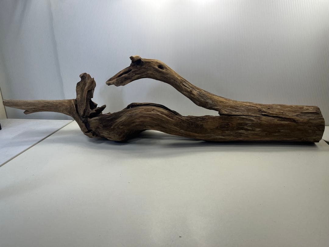 R71特大流木 アク抜き済み流木 爬虫類シェルター 登り木 インテリア 生け花