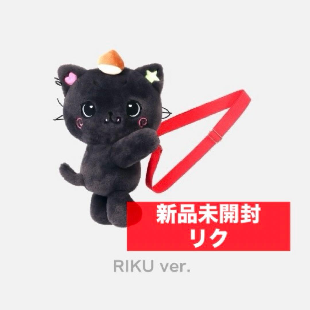 リク　ソウルコン　nct wish　キャラクターバッグ　クリ　未開封　md