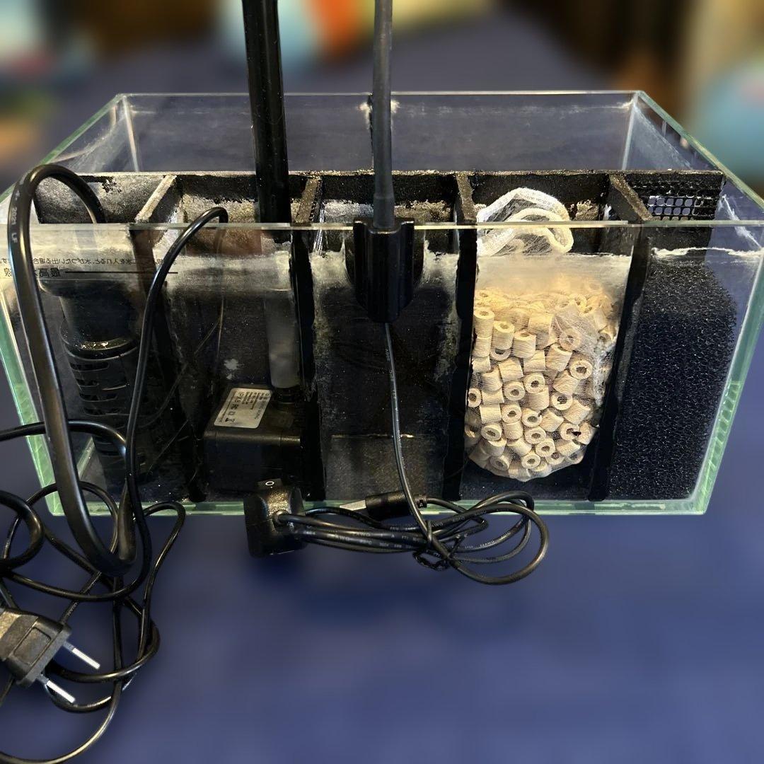 【セット品&改良型】ベタマンション 自作 DIY ベタ 水槽　使用済み