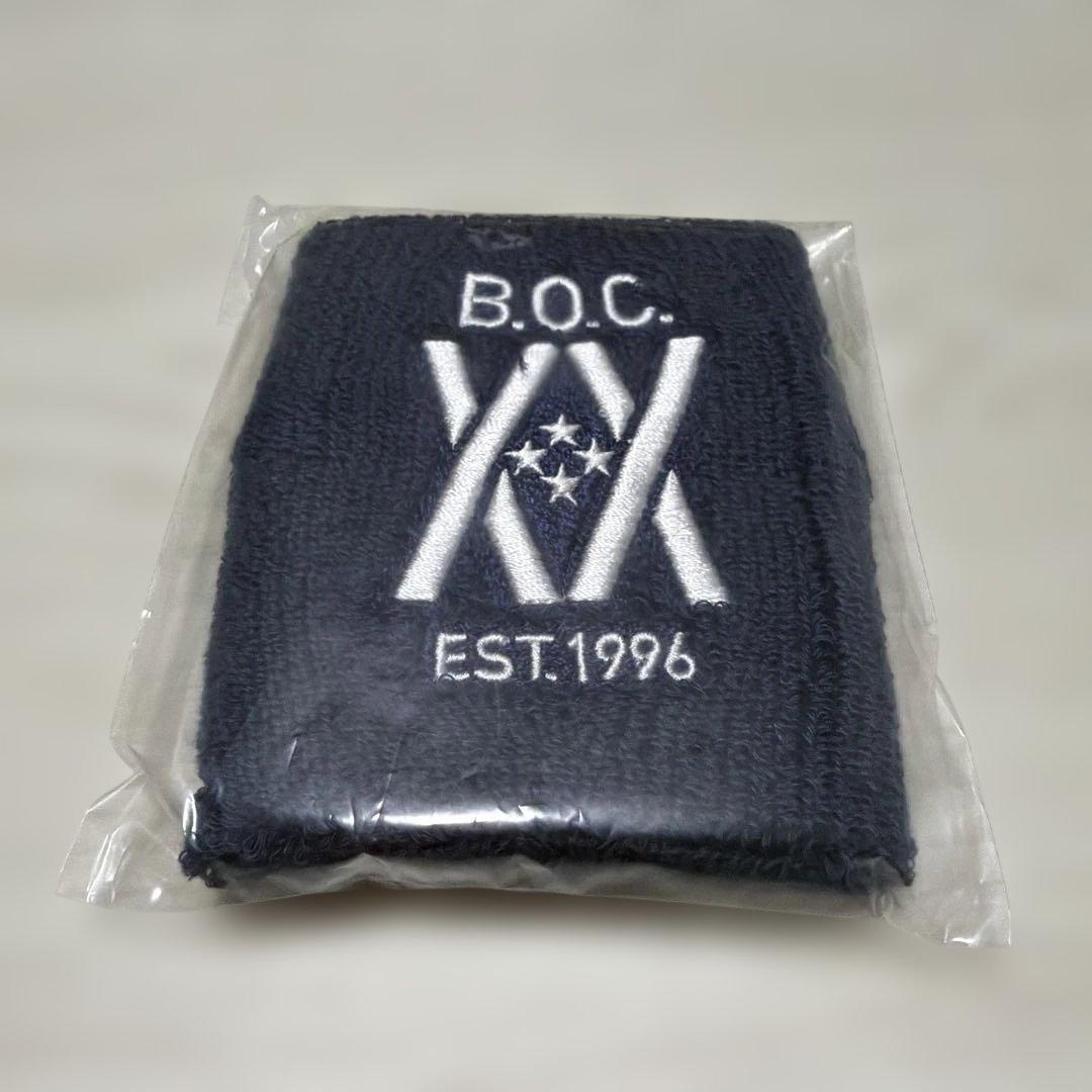 BUMP OF CHICKEN グッズセット