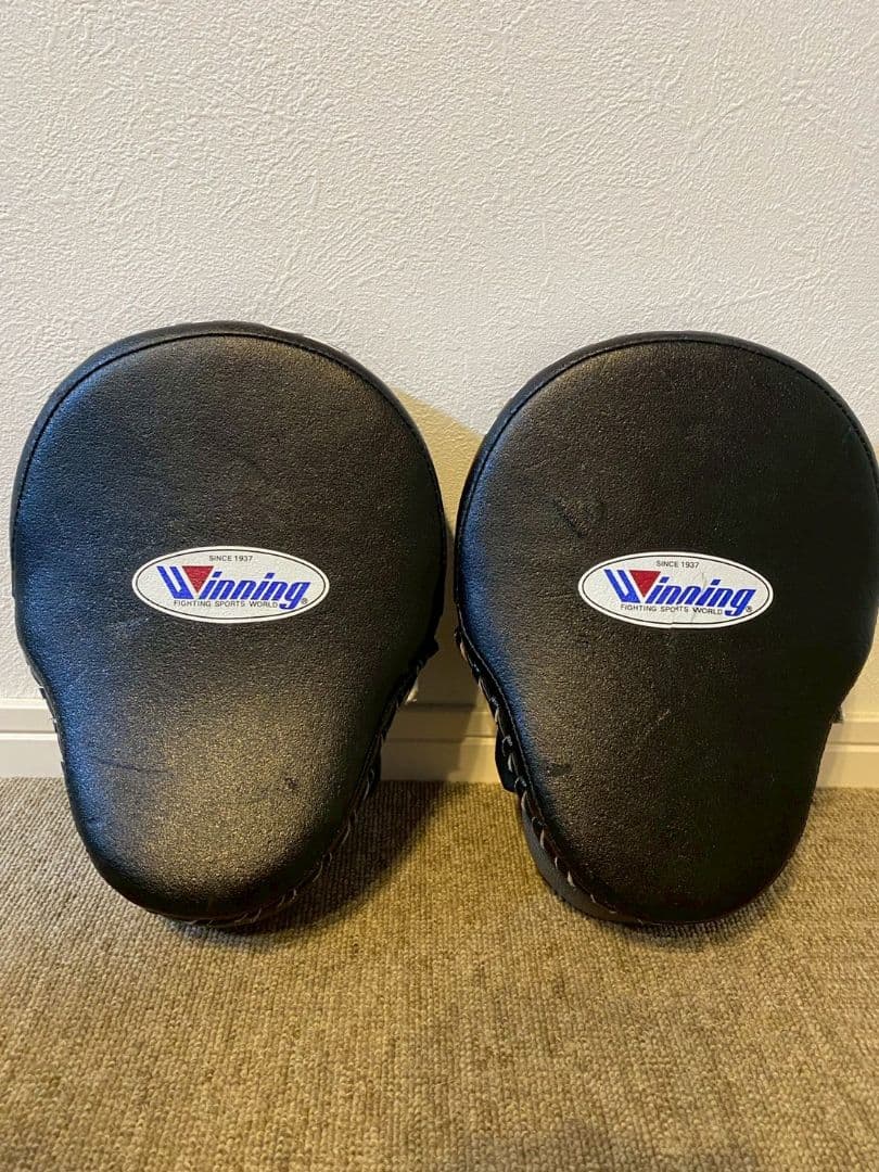 特注品 Winning パンチングミットハイグレード指カバータイプ