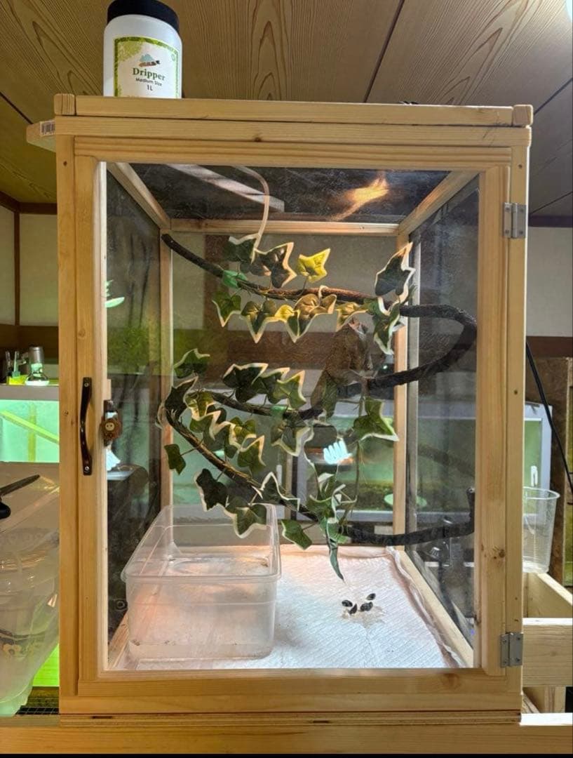 爬虫類ケージ　60×40×40 メッシュ　アクリル扉　カメレオン　ケージ　ペット