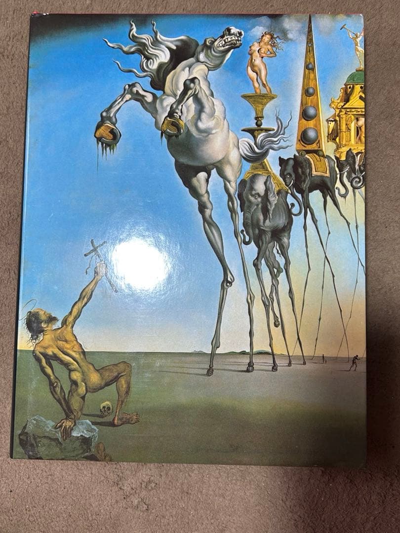 ダリ全画集 Salvador Dali The Paintings全2冊 絶版