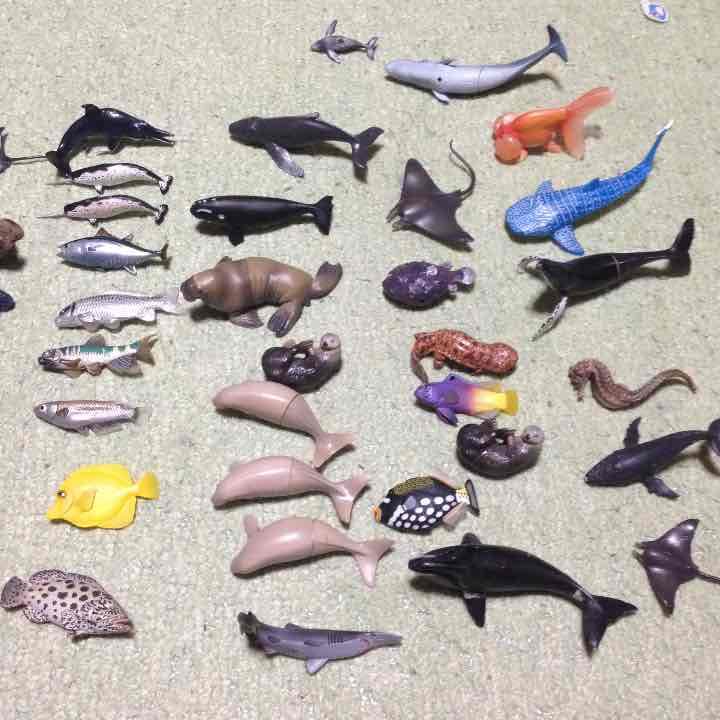 魚フィギュアばら売り