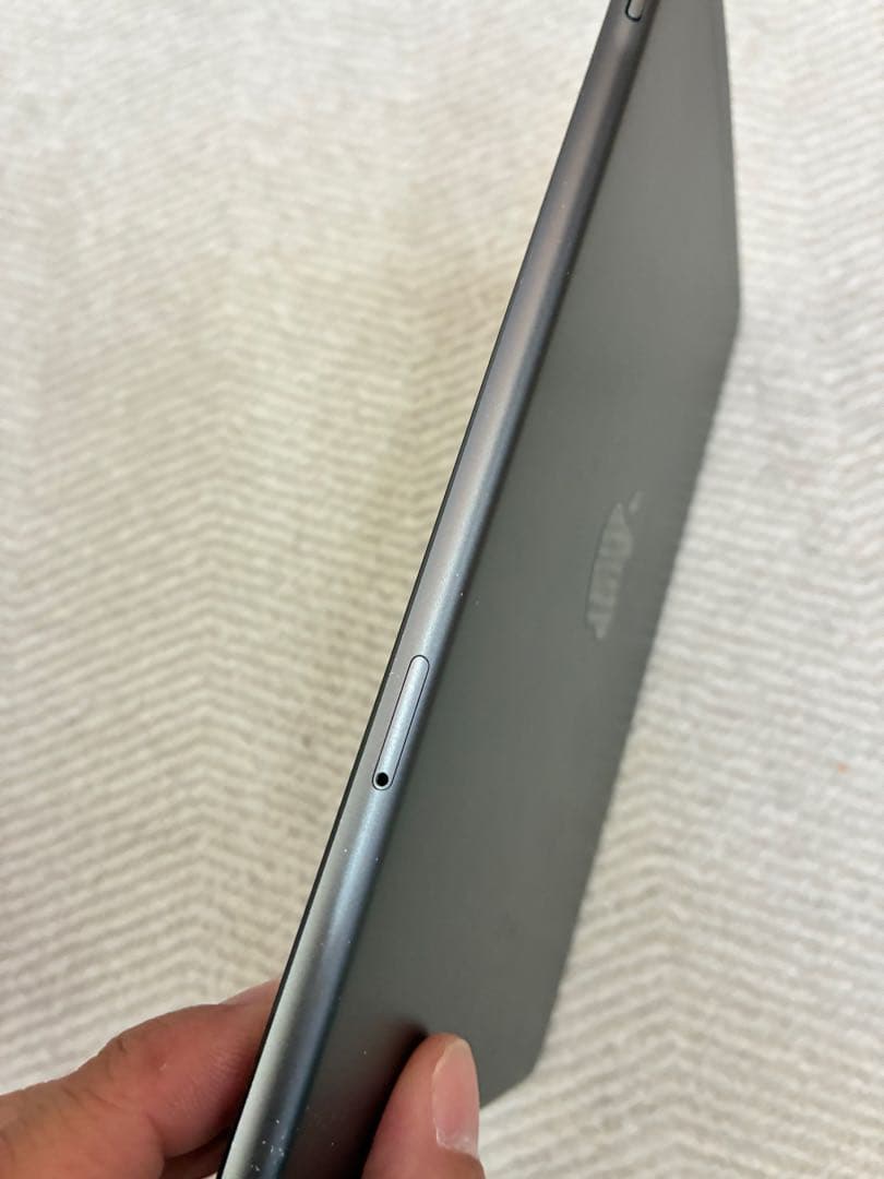 iPad mini 5 64G 最大容量87%セルラーモデル