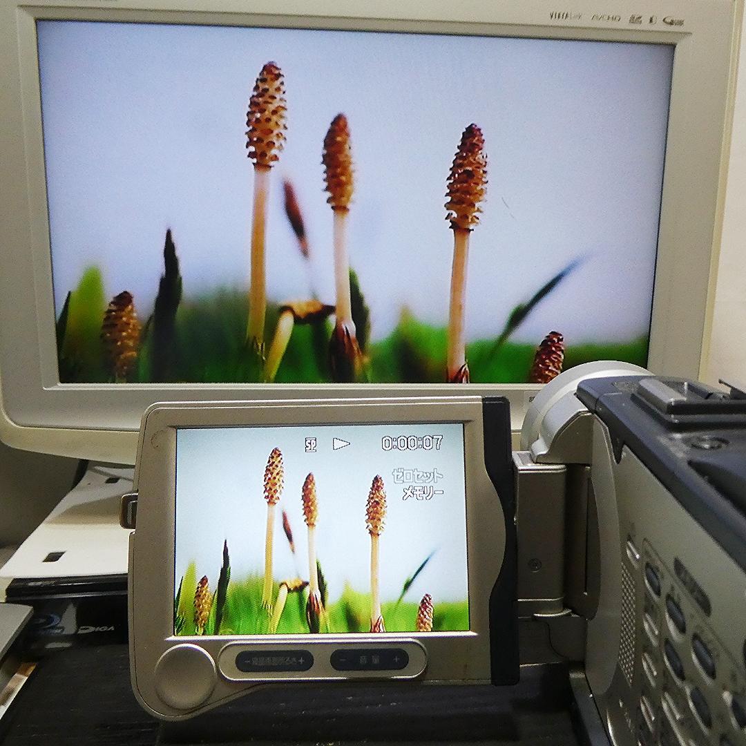 動作品ソニー DCR-TRV30 MiniDVビデオカメラ　DVDダビングに最適