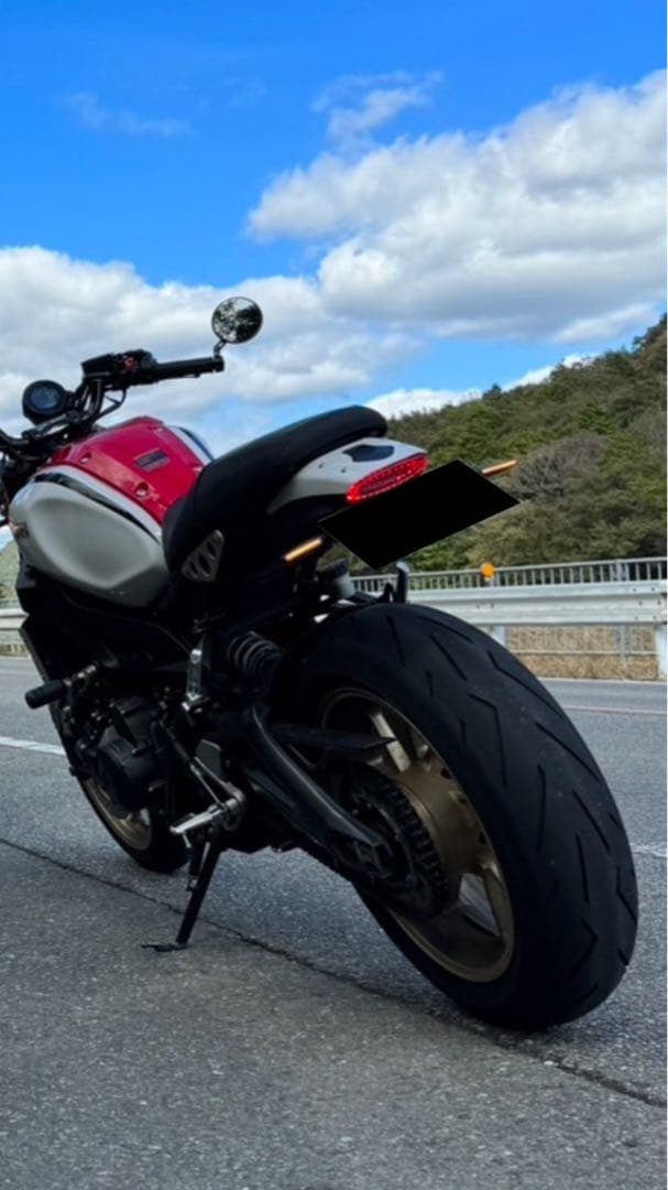 XSR900 TST Industries ウィンカー内蔵 スモークテールライト