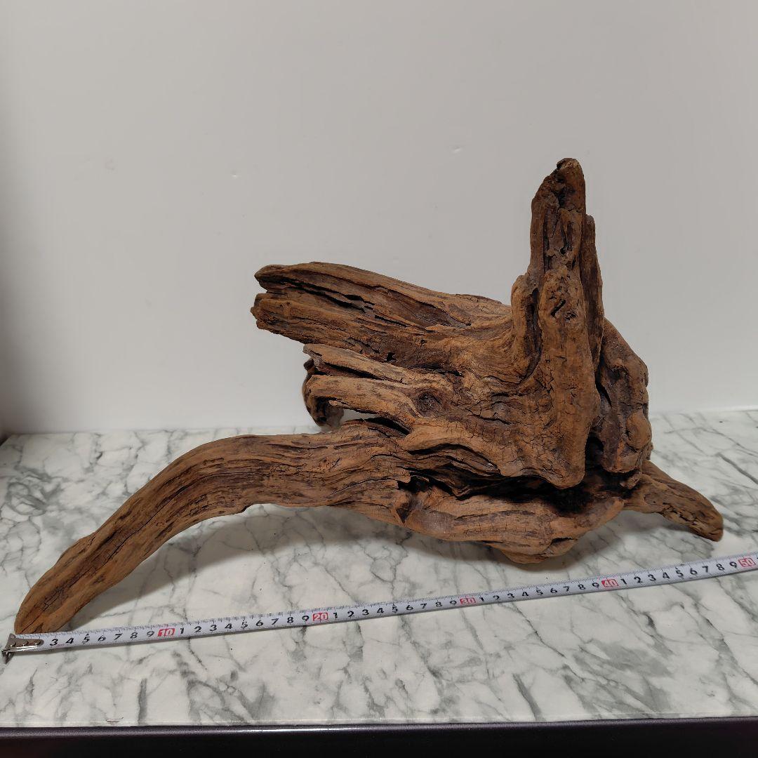 アク抜き済み流木【785】セール