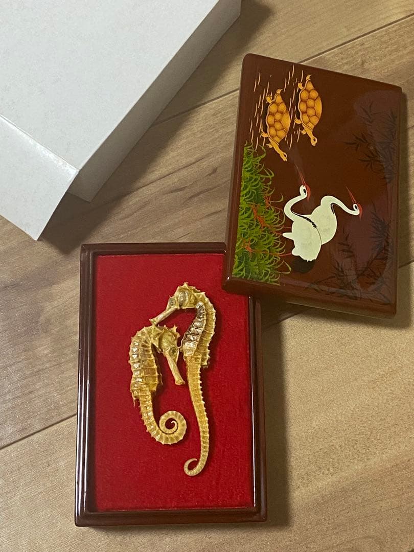 開運 縁起物 タツノオトシゴ 乾燥 標本　2セット