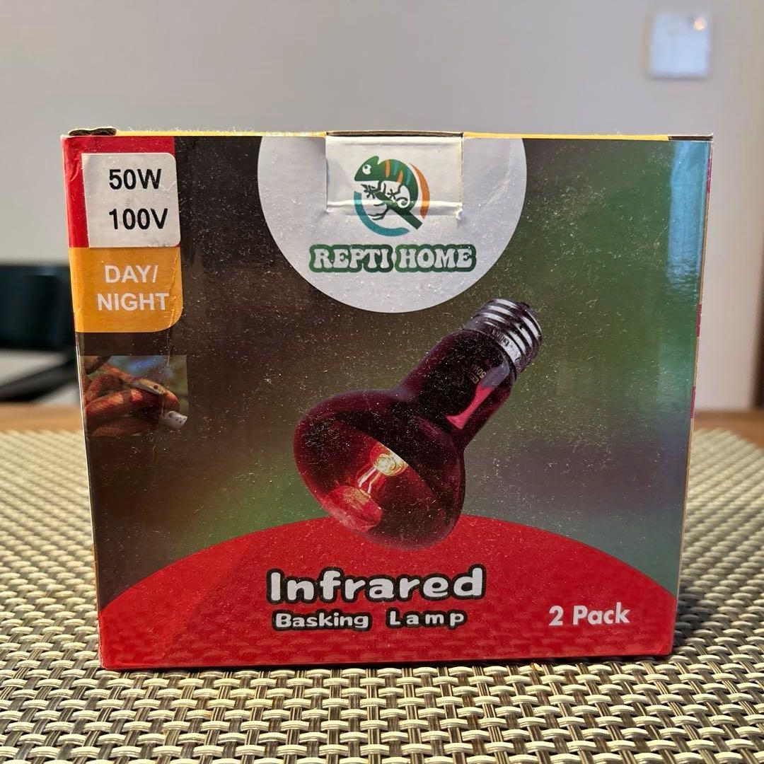 【リクガメ】【トカゲ】爬虫類飼育ケージセット