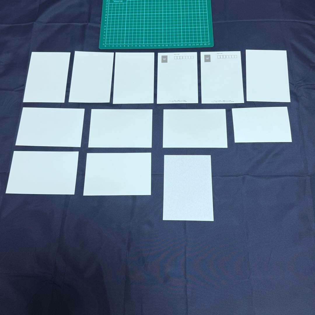 【希少】ヴァンパイア騎士/手裏剣とプリーツ特典セット