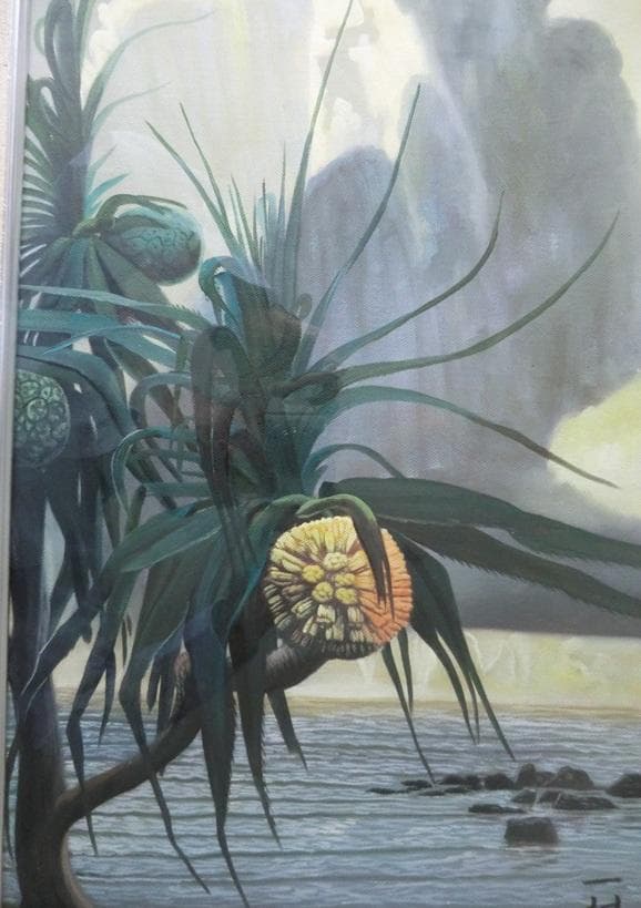 田中一村　代表作「アダンの海辺」　油彩　模写