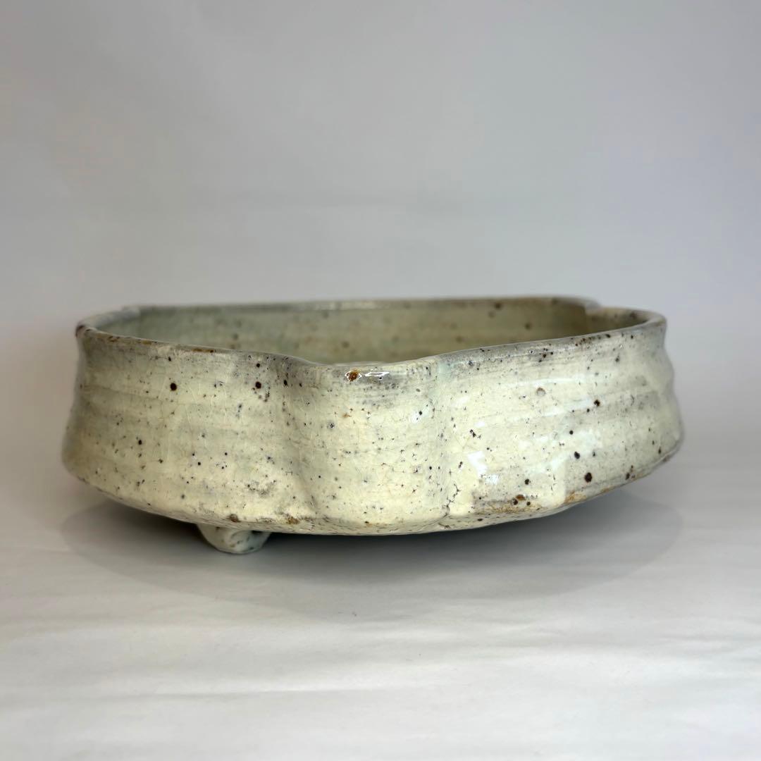 永江港史さん　絵志野焼　鹿　梅　鉢　小皿5枚セット