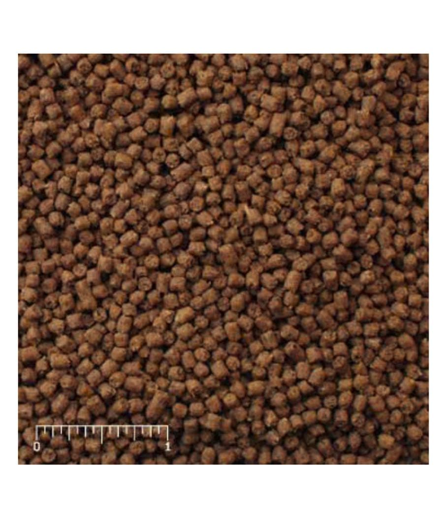 MAZURIインセクティボアダイエット 11.34kg