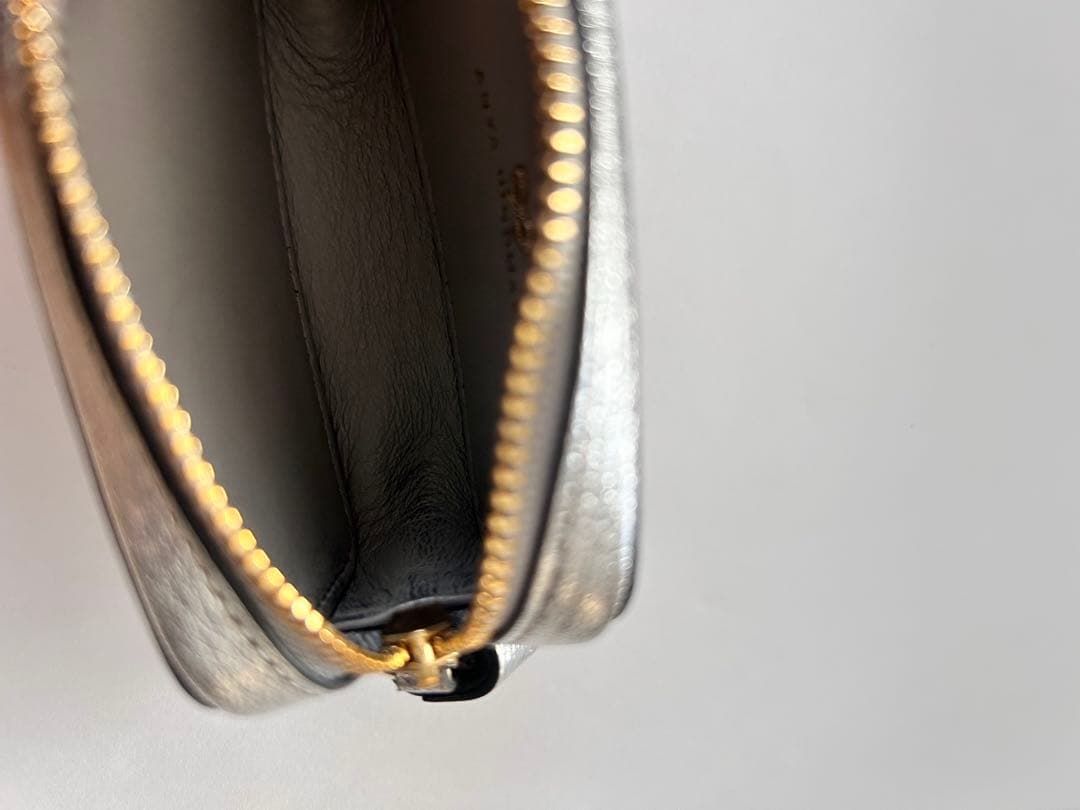 アニヤハインドマーチ　シルバー ケース