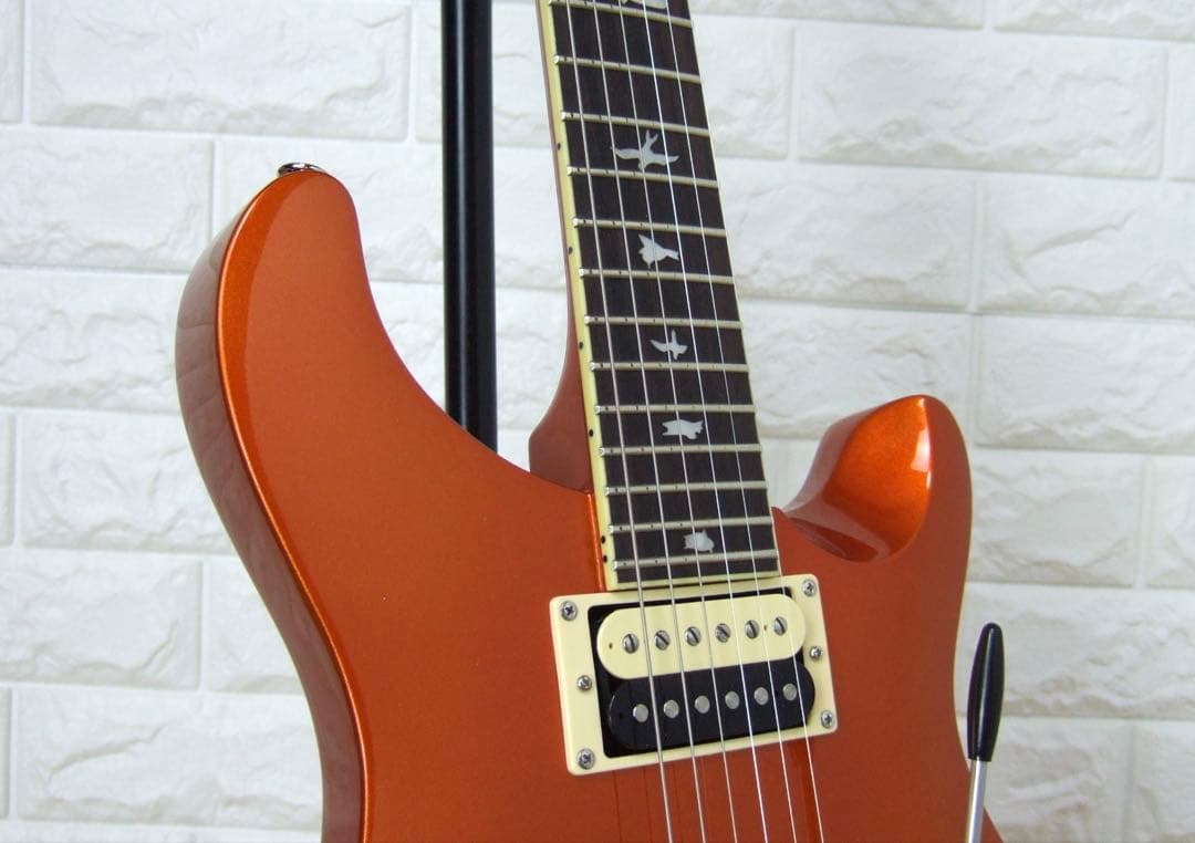 Paul Reed Smith SE Standard 24 限定品 PRS