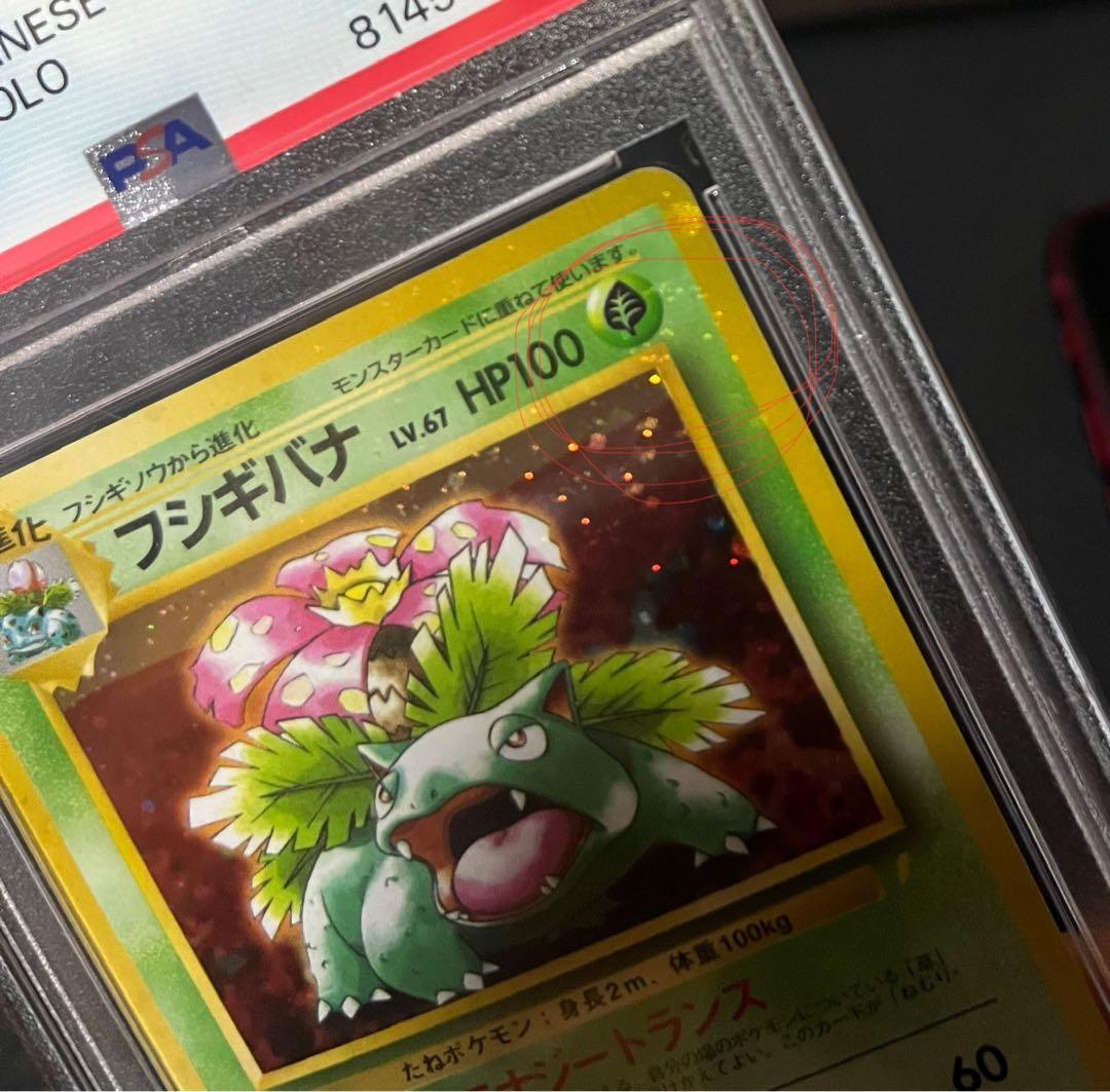 フジギバナ　旧裏　psa10