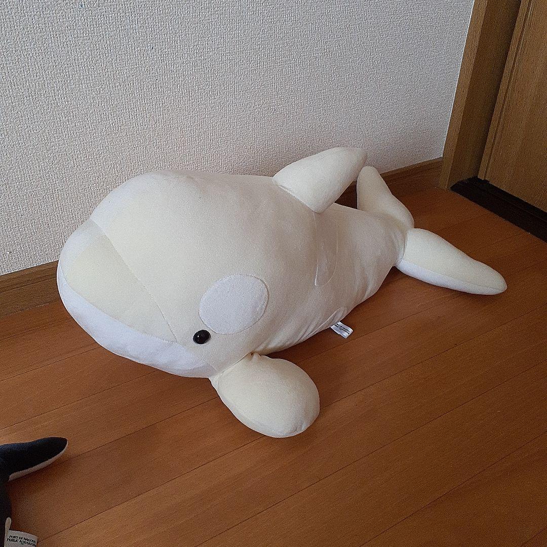 名古屋港水族館限定【シャチ】ぬいぐるみ