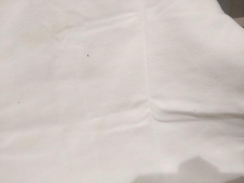 1998年 LIVE AROUND TUBE チューブ 半袖トレーナー★前田亘輝