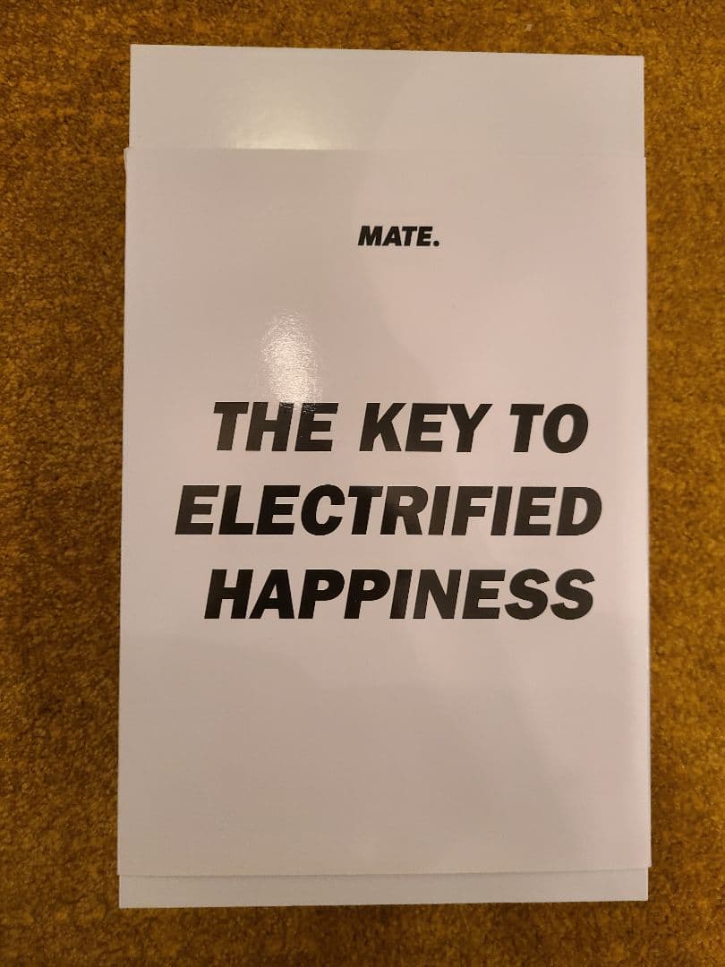 自転車本体 MATE BIKE X