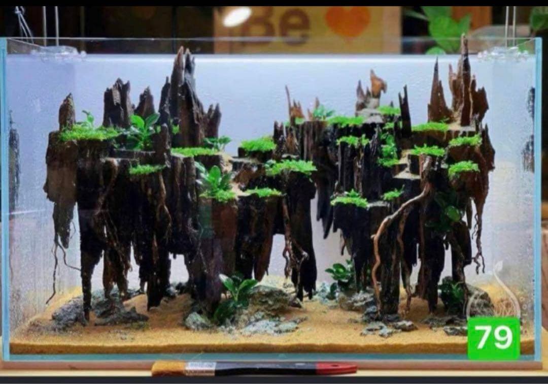 TTD 7945【⭐︎ korosuke様⭐︎】【美品・数量限定】